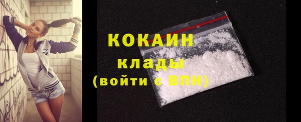 2c-b Горняк
