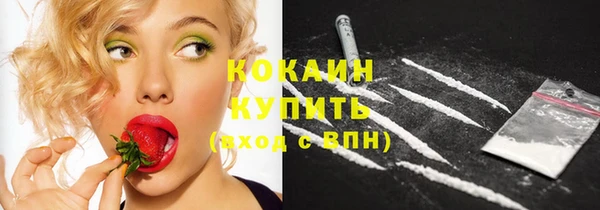 apvp Горно-Алтайск