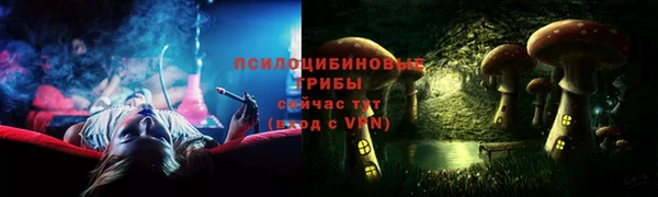 apvp Горно-Алтайск