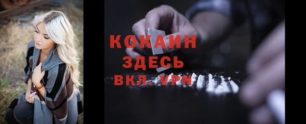 ГАЛЛЮЦИНОГЕННЫЕ ГРИБЫ Сясьстрой