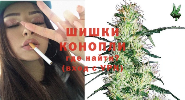 2c-b Горняк