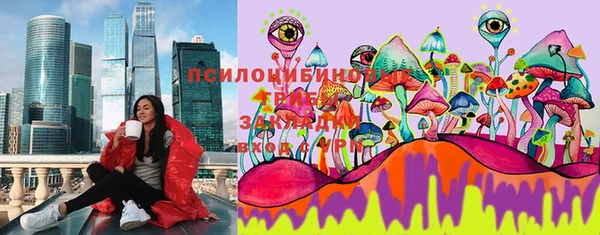 apvp Горно-Алтайск