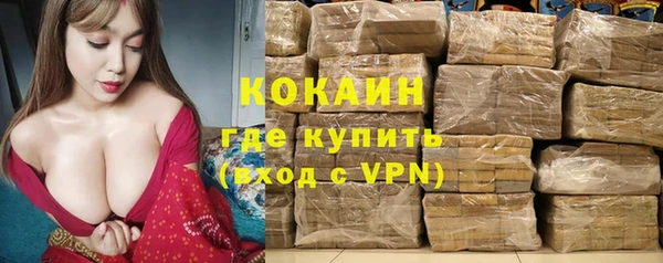 2c-b Горняк
