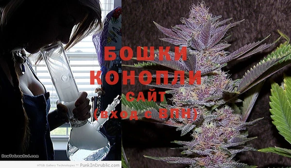 2c-b Горняк