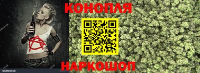 сатива Балахна