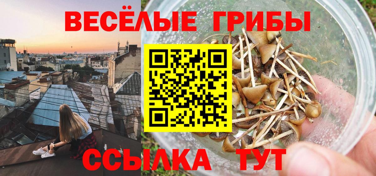 Джанкой  Галлюциногенные грибы мухоморы  купить  сайты  Галлюциногенные грибы прущие грибы  Вход с VPN 